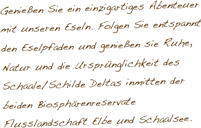 Genießen Sie ein einzigartiges Abenteuer mit unseren Eseln. Folgen Sie entspannt den Eselpfaden und genießen sie Ruhe, Natur und die Ursprünglichkeit des Schaale/Schilde Deltas inmitten der beiden Biosphärenreservate Flusslandschaft Elbe und Schaalsee. 